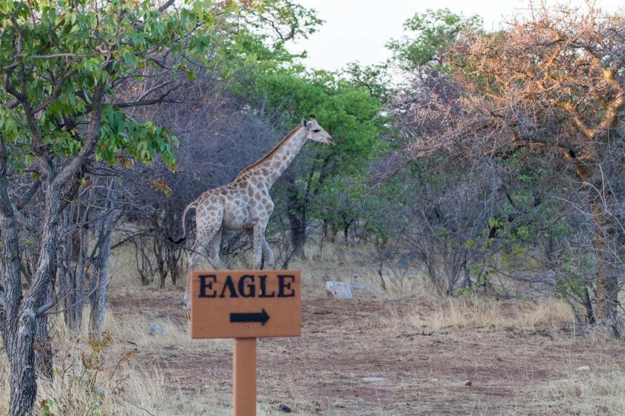 Eagle Tented Lodge & Spa Okaukuejo Exterior photo